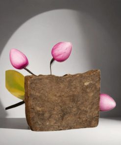 Savon Foléré (Bissap Hibiscus)