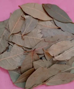 Feuille de laurier sauce
