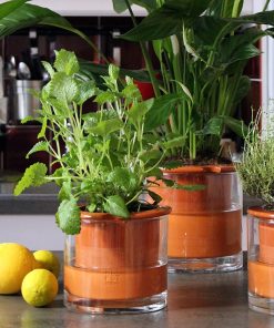 Mon petit coin vert – Pot à réserve d’eau en céramique